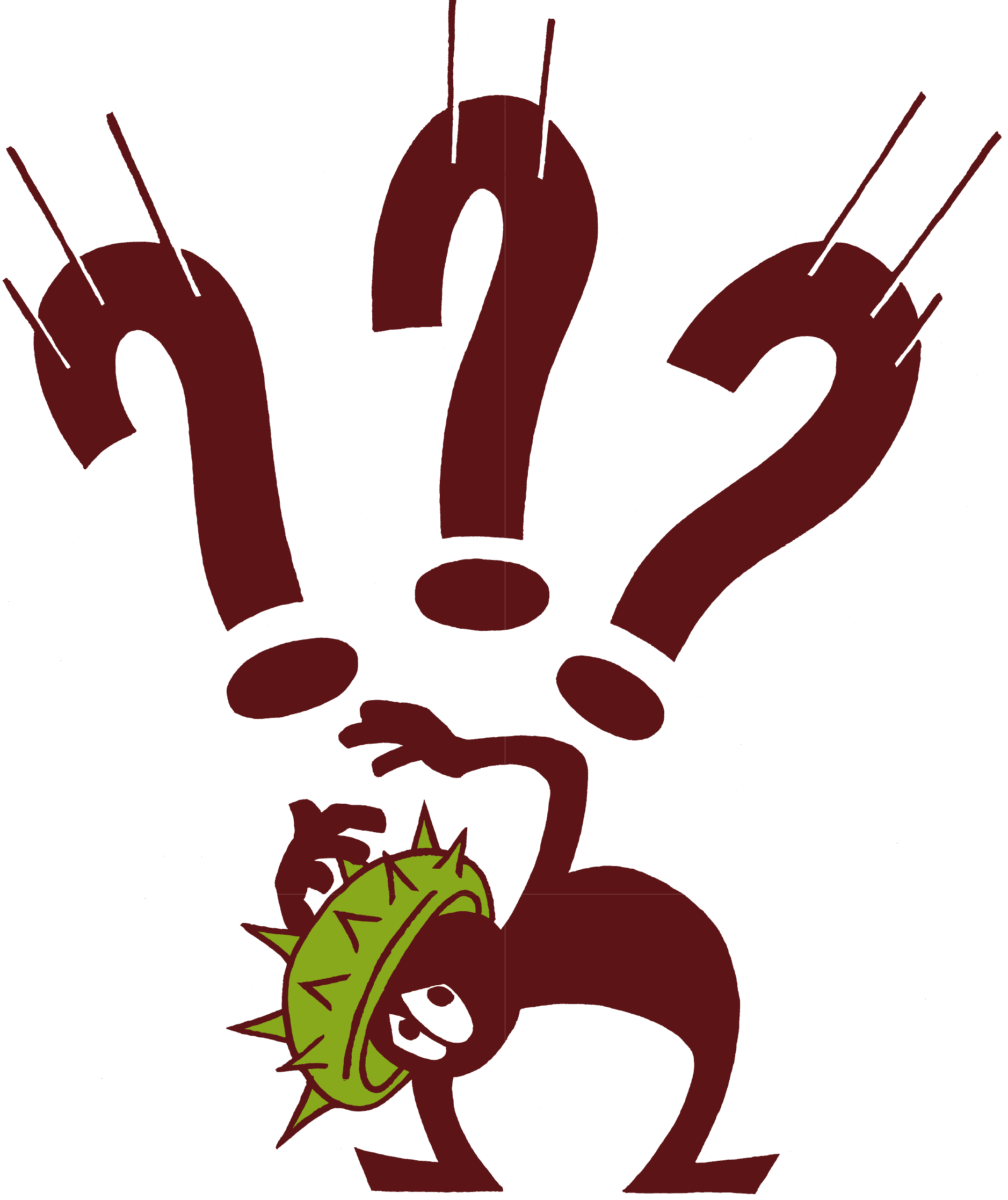 Une avalanche de questions